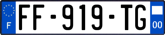 FF-919-TG
