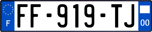 FF-919-TJ