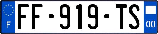 FF-919-TS