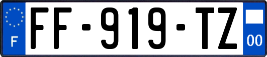 FF-919-TZ