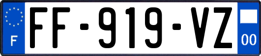 FF-919-VZ