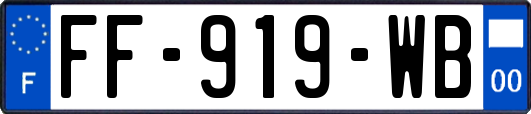FF-919-WB