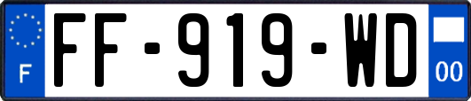 FF-919-WD