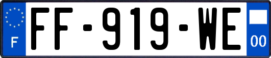 FF-919-WE