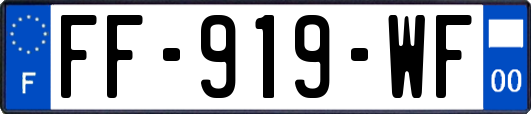 FF-919-WF