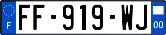 FF-919-WJ