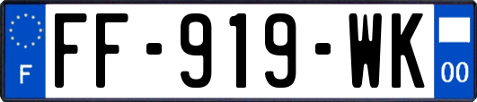 FF-919-WK