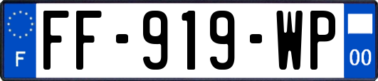 FF-919-WP