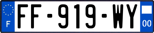 FF-919-WY