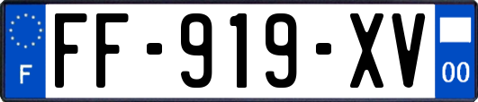 FF-919-XV