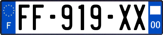 FF-919-XX