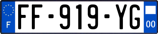FF-919-YG