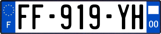 FF-919-YH