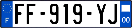 FF-919-YJ