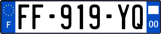 FF-919-YQ