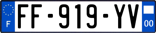 FF-919-YV