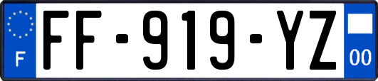 FF-919-YZ