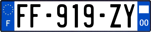 FF-919-ZY