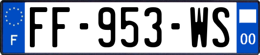 FF-953-WS