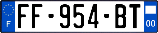 FF-954-BT