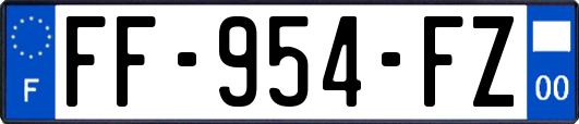 FF-954-FZ