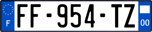 FF-954-TZ