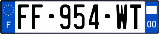 FF-954-WT