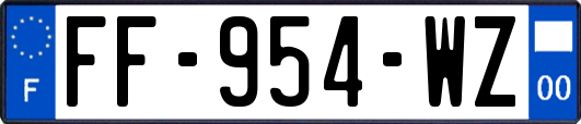 FF-954-WZ