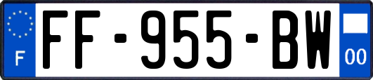 FF-955-BW