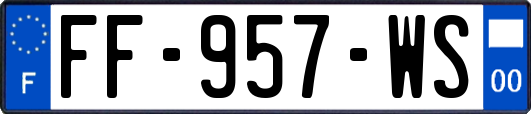 FF-957-WS