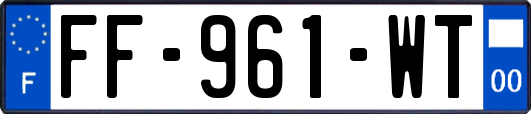 FF-961-WT