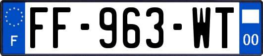 FF-963-WT