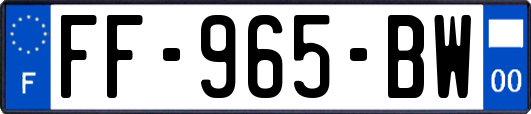 FF-965-BW