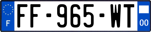 FF-965-WT