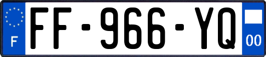 FF-966-YQ