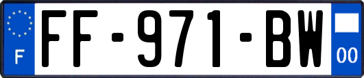 FF-971-BW