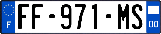 FF-971-MS