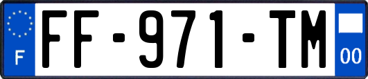 FF-971-TM