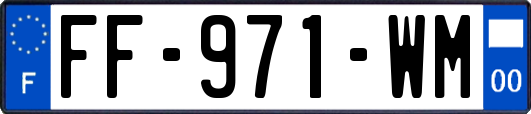 FF-971-WM