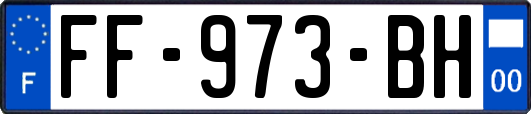 FF-973-BH