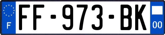 FF-973-BK