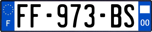 FF-973-BS