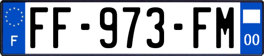 FF-973-FM