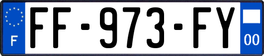 FF-973-FY