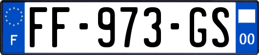 FF-973-GS
