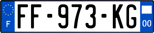 FF-973-KG