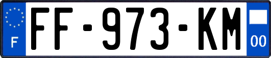 FF-973-KM