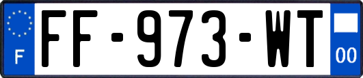 FF-973-WT