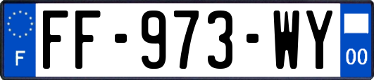 FF-973-WY