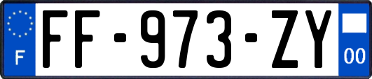 FF-973-ZY